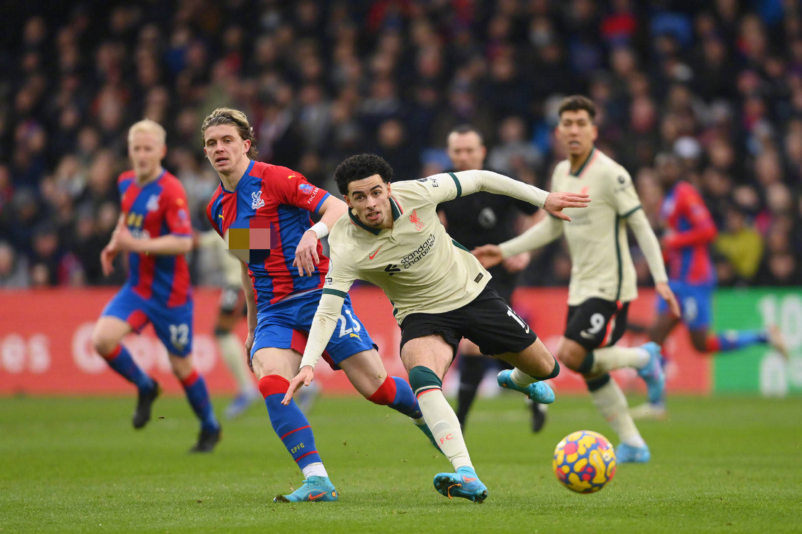 除了基本功 除了基本功